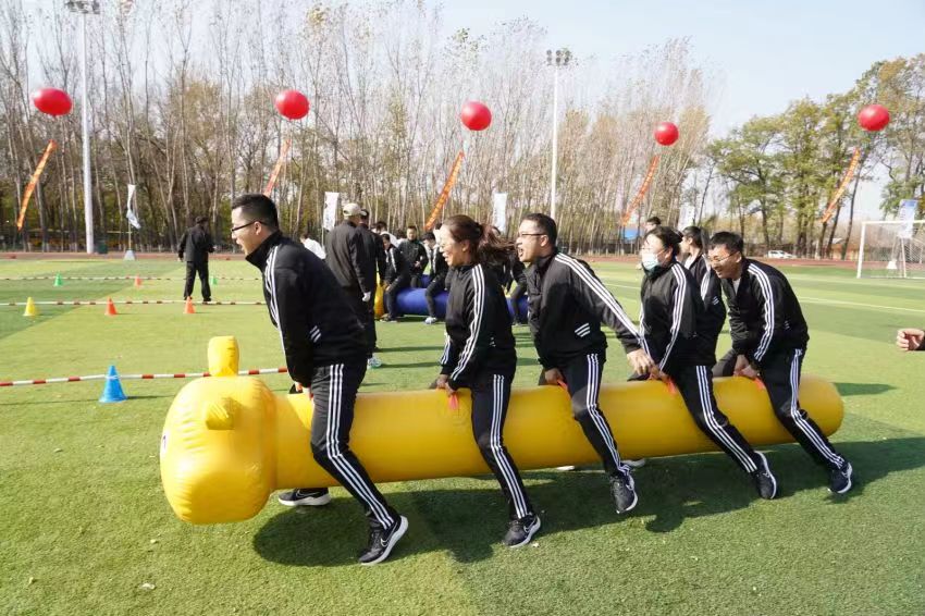 毛毛虫