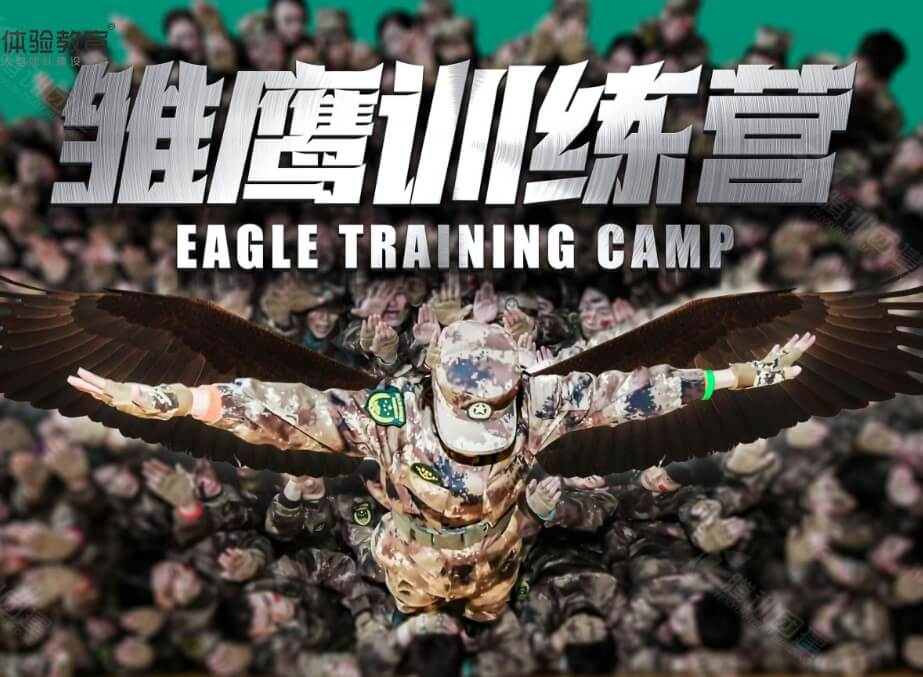 雏鹰训练营